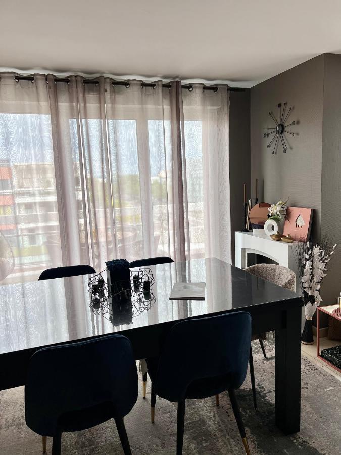 Climatise 3 Etoiles T3 Chic A Avec Billard Et Terrasse * Straatsburg
