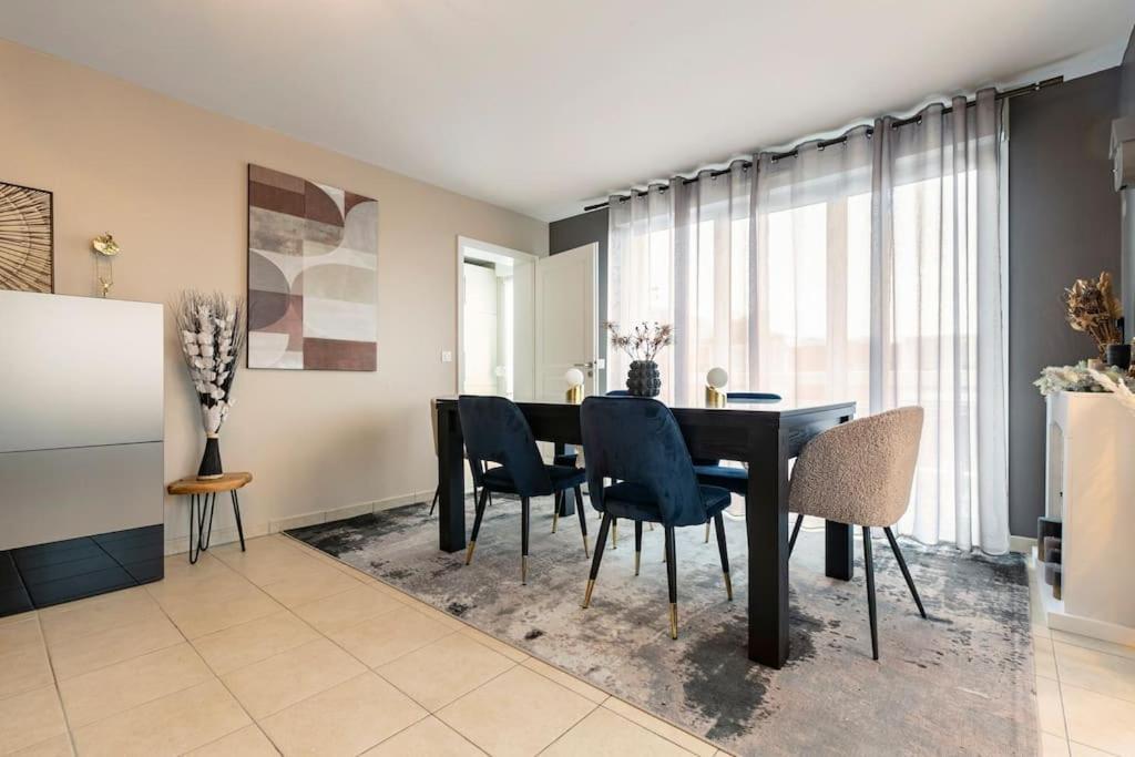 Climatise 3 Etoiles T3 Chic A Avec Billard Et Terrasse * Straatsburg